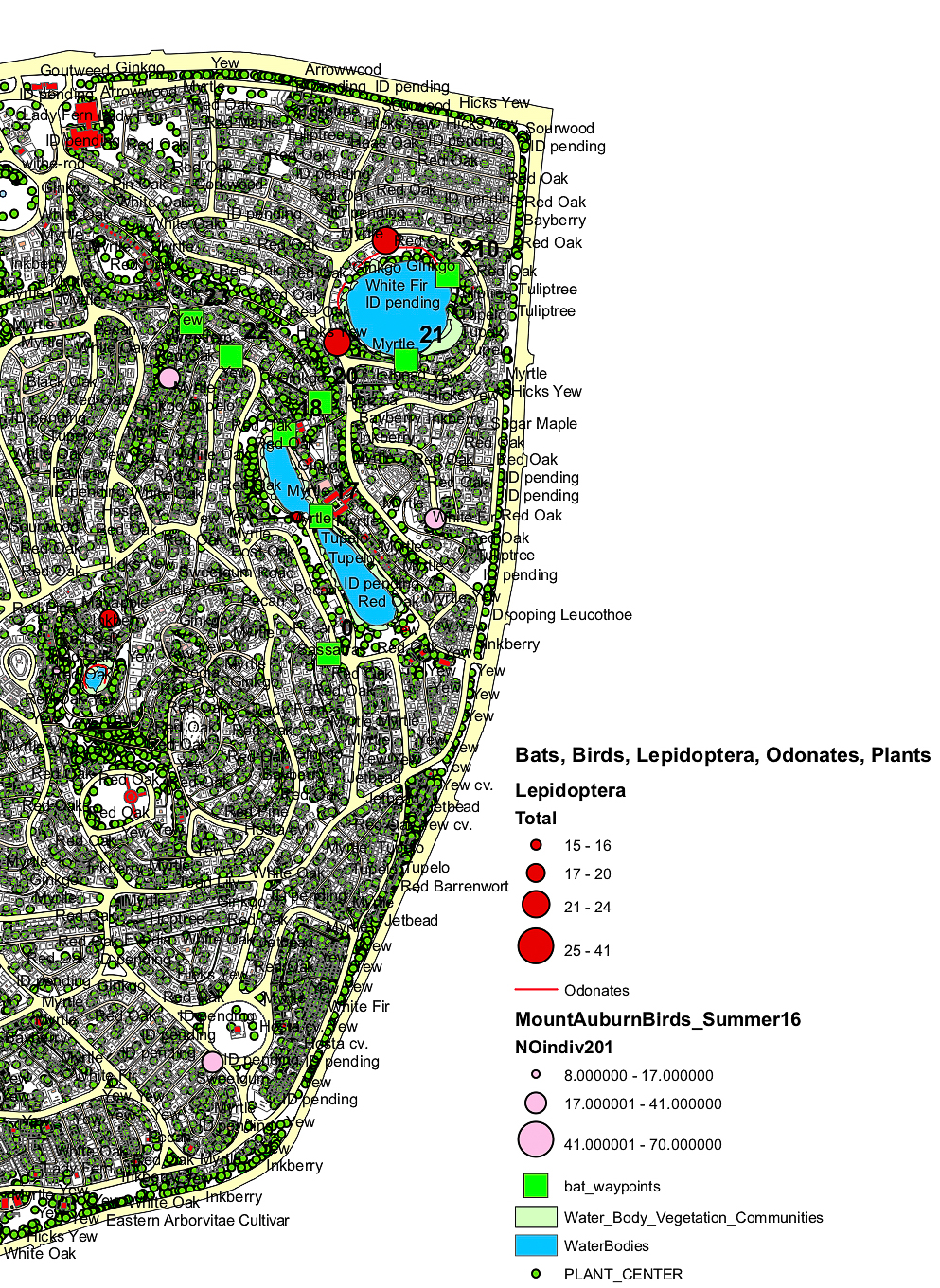 A sample GIS map showing the overlays of bats, birds, plants, etc recorded.