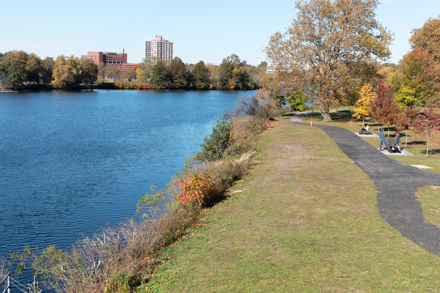 View of Charles River at fall