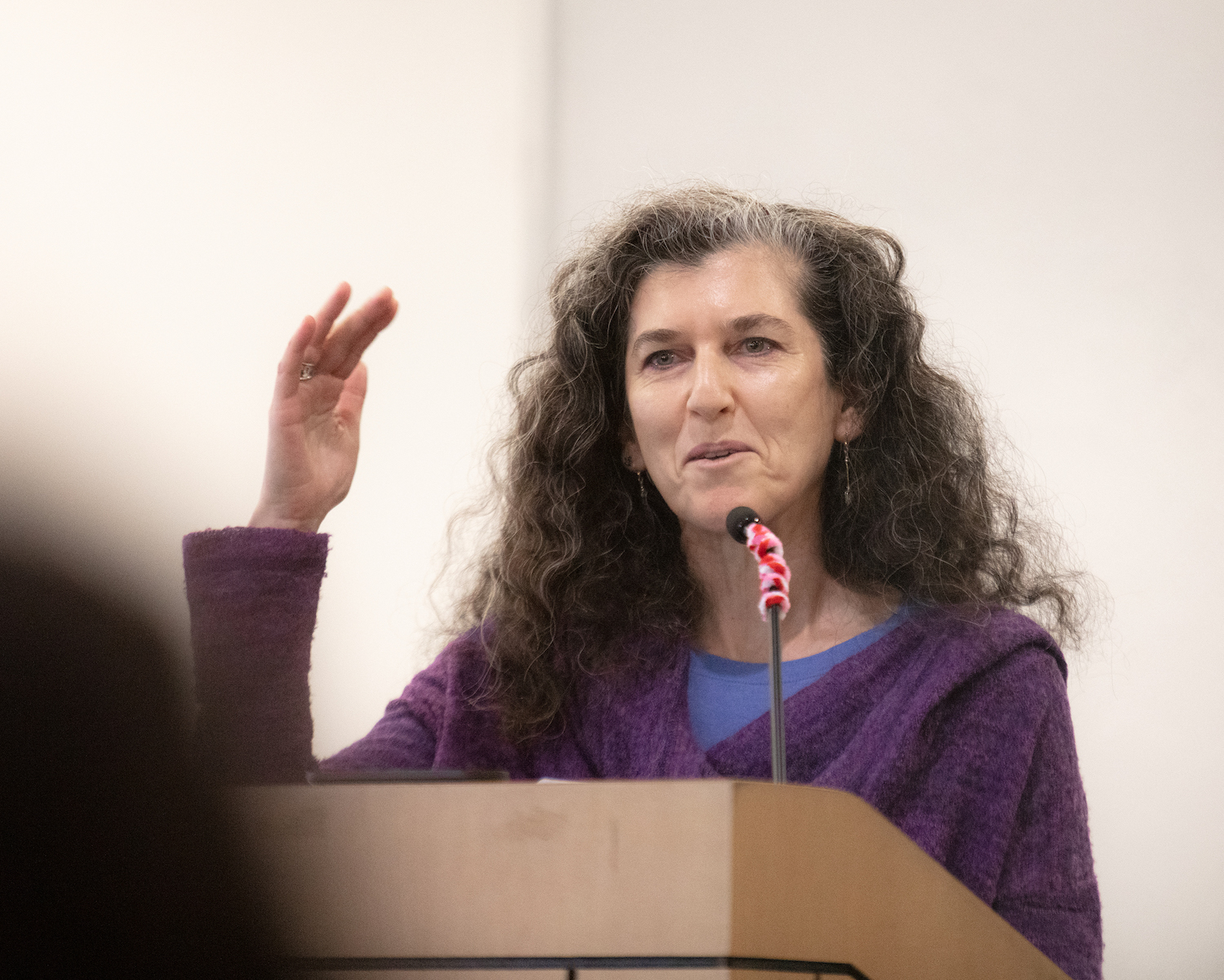 Early Childhood Education Professor Lisa Fiore, chair of undergraduate education, speaks at podium