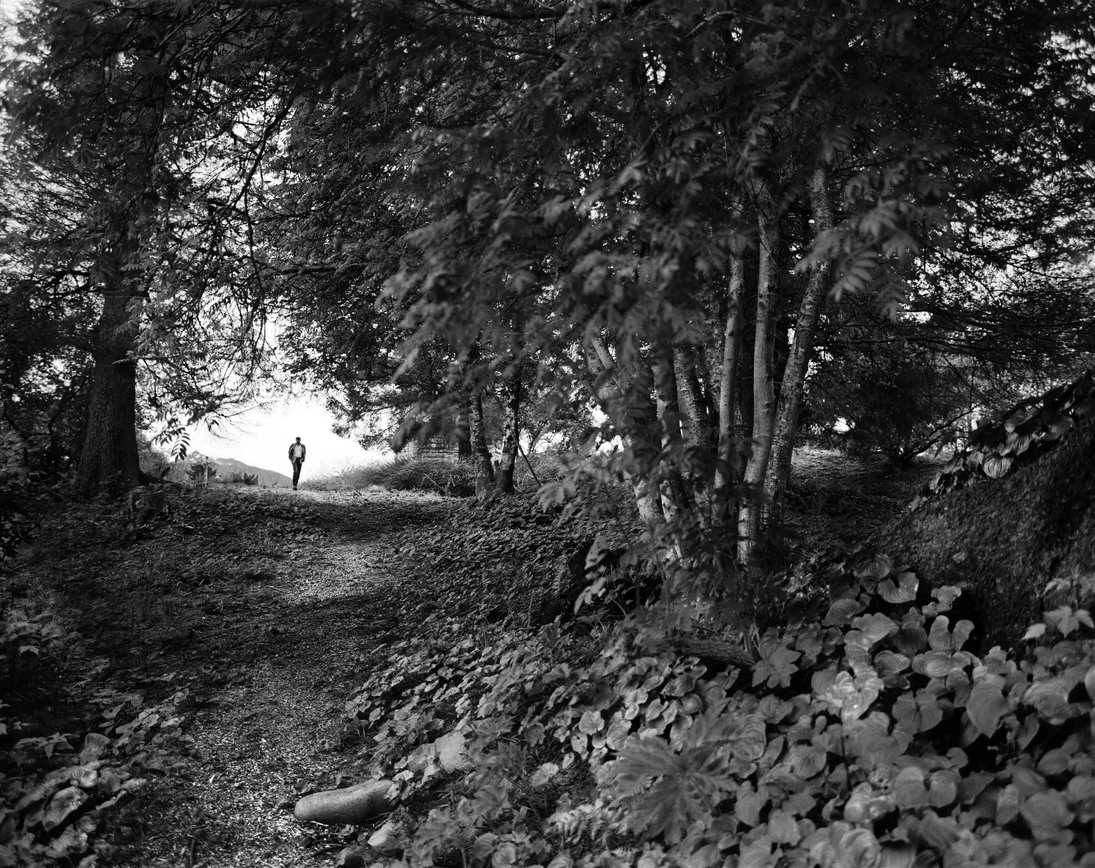 black and white photo of person in woods