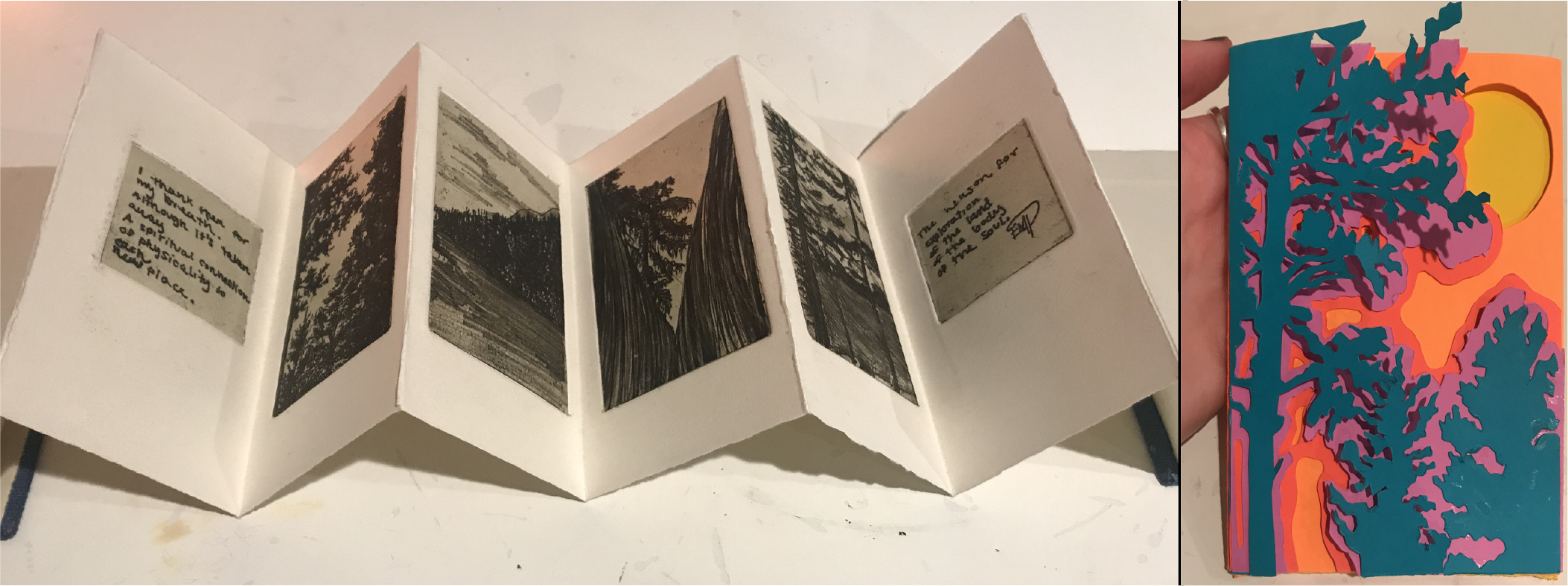 An accordian book with letterpress of trees and a book with a tree cut out in paper against a bright backdrop