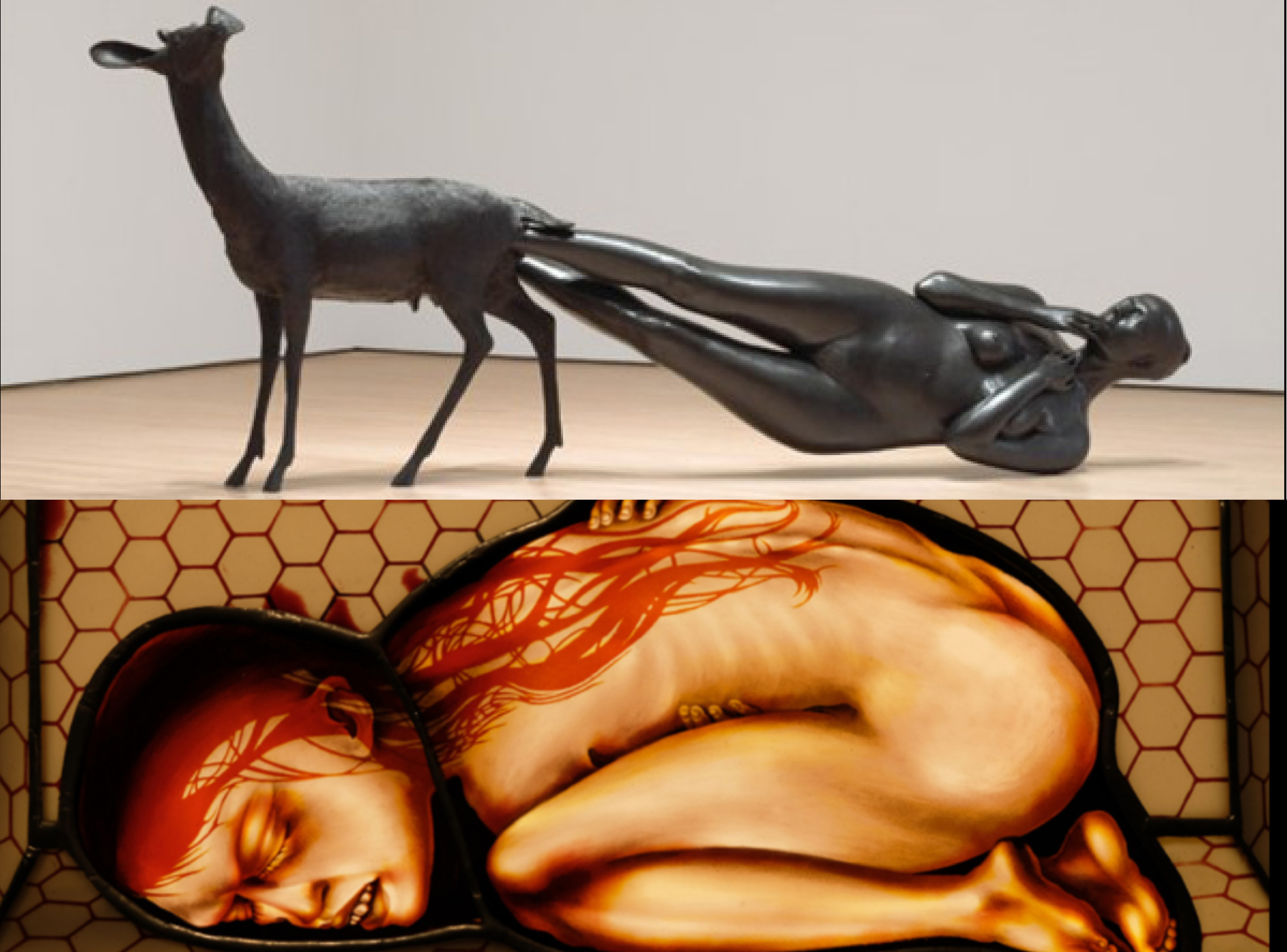 Two pieces of artwork - one is scuplture of a boyd being born from a deer and the other is a painting or print of a body (maybe a newborn) in foetle position.