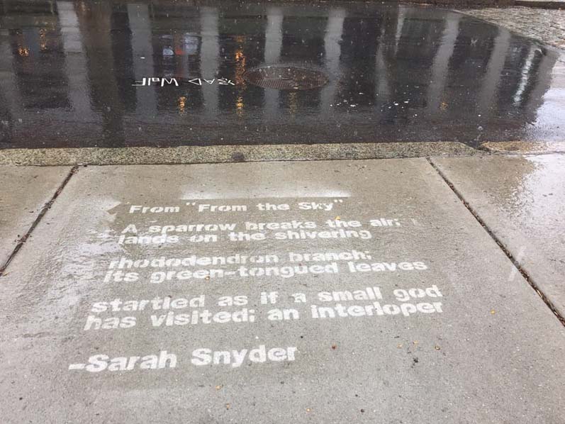 Sarah Snyder's "From the Sky" appears on a rainy sidewalk. 