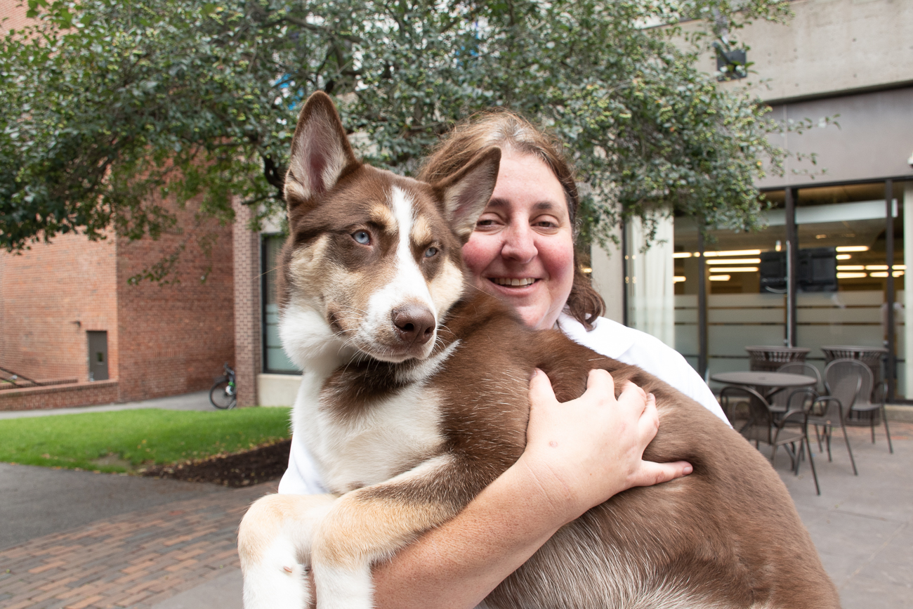 Ollie's owner holds him in her arms.