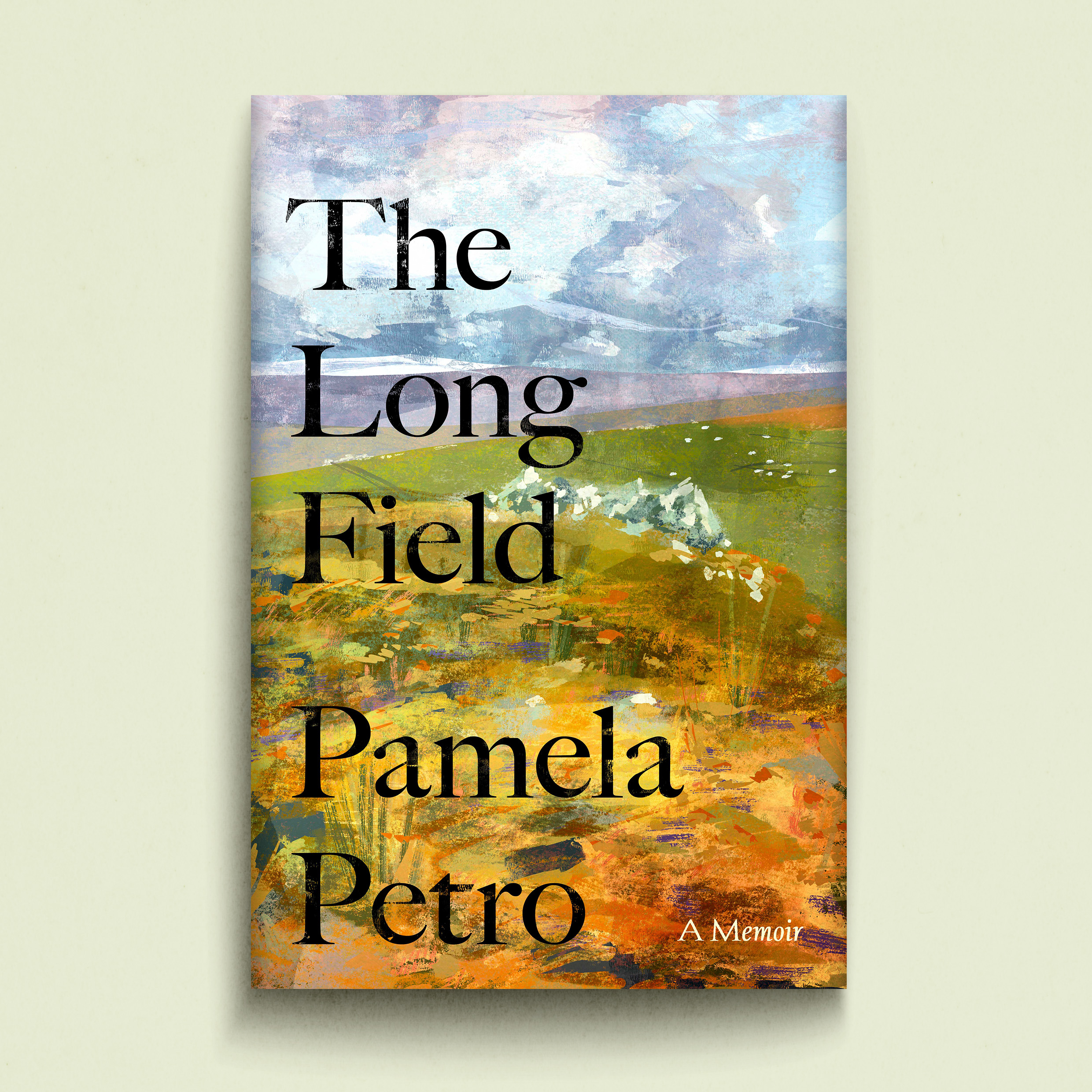 Book cover: The Long Field by Pamela Petro, background is a landscape painting