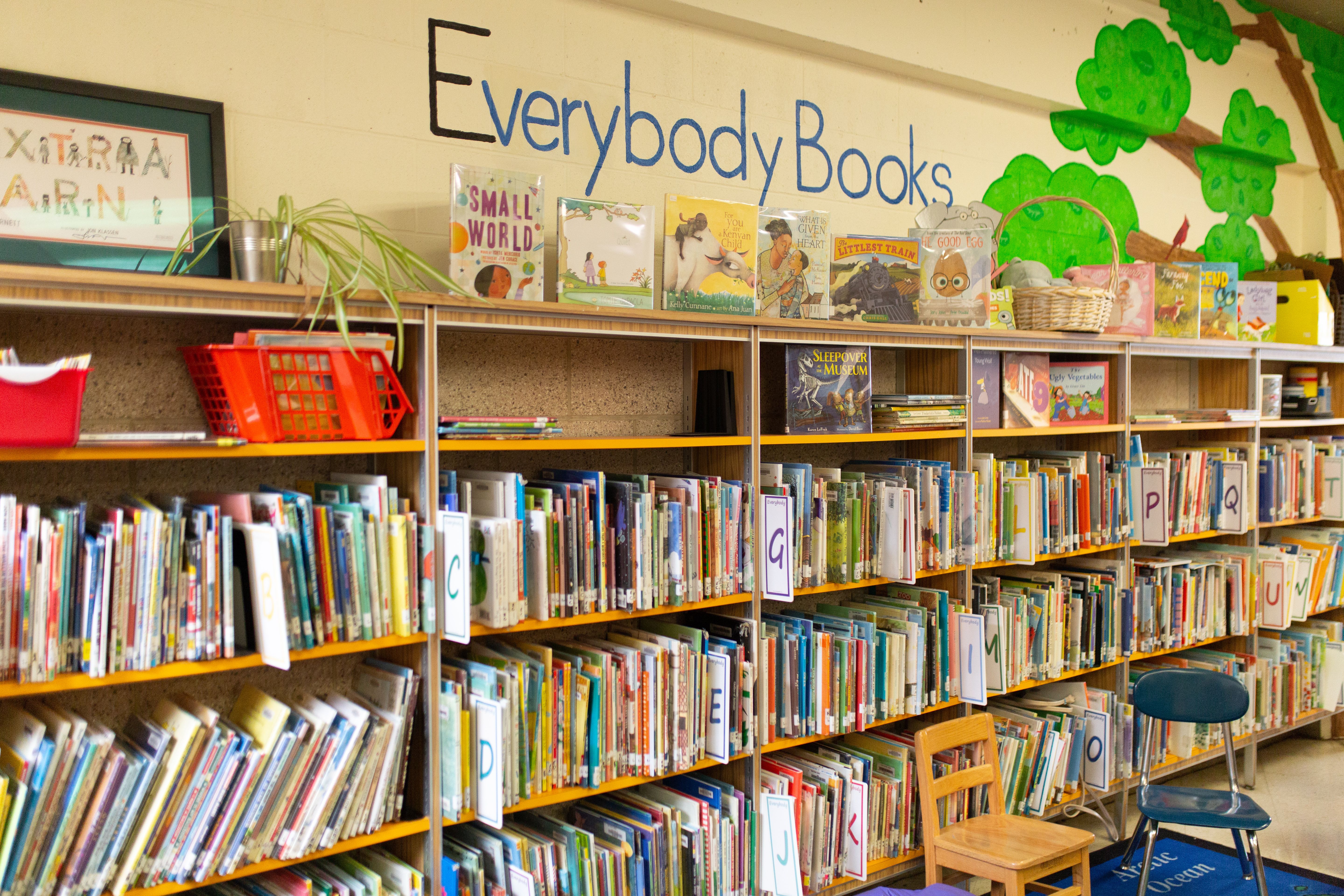 PreK-2 classroom library with rows of bookshelves