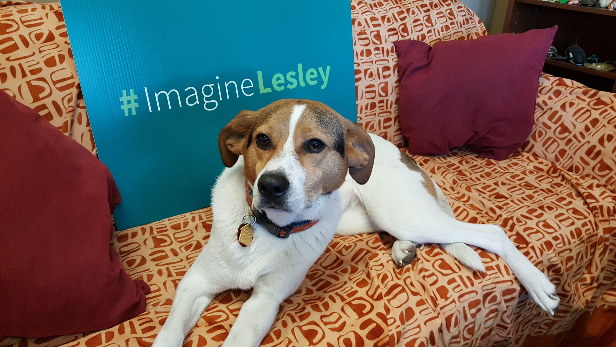 Tally lounges in front of the #ImagineLesley sign
