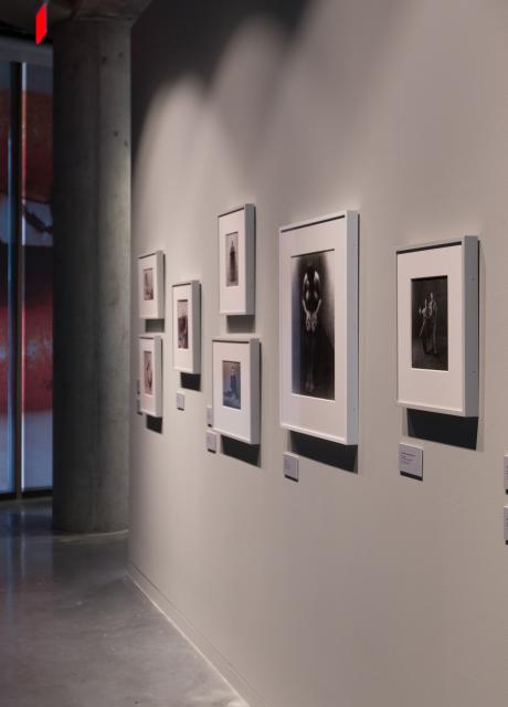 gallery wall with photographs