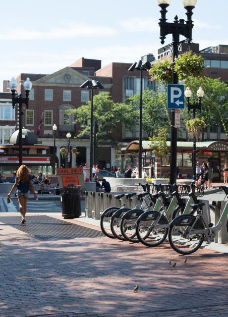 harvard square cambridge
