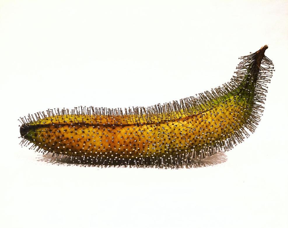 photograph of bananas with pins in it