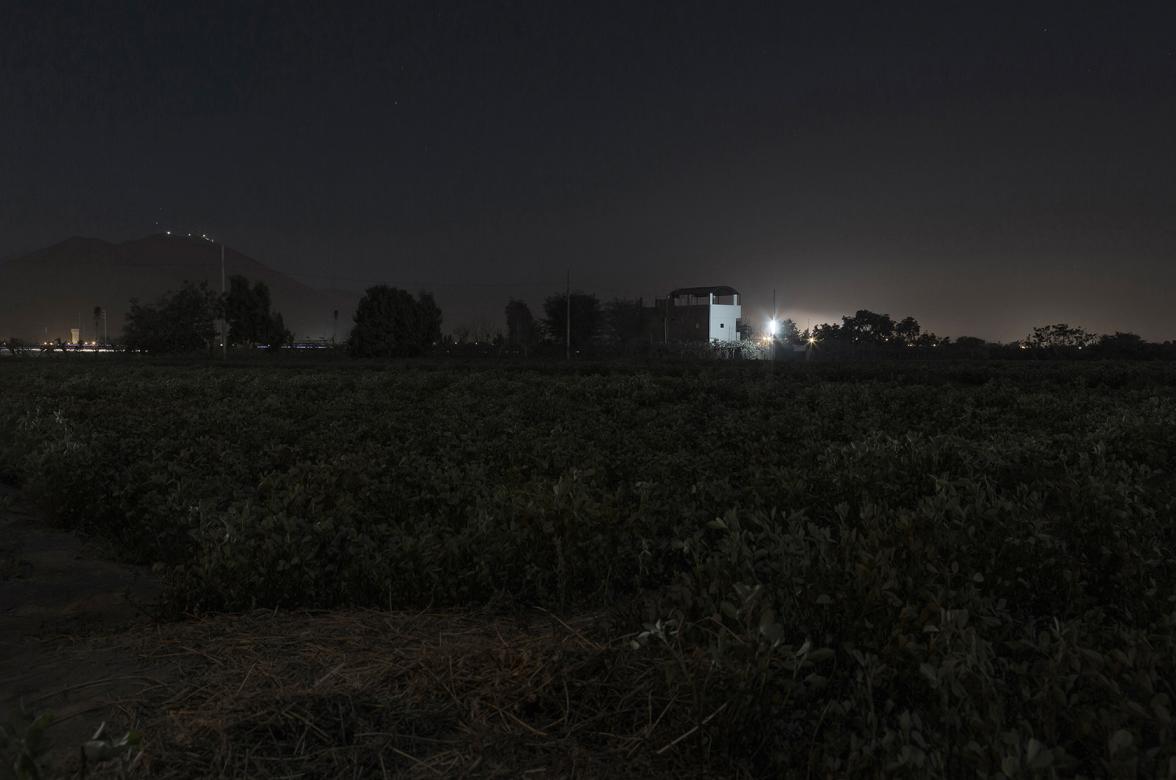 photograph of dark field with city lights on horizon
