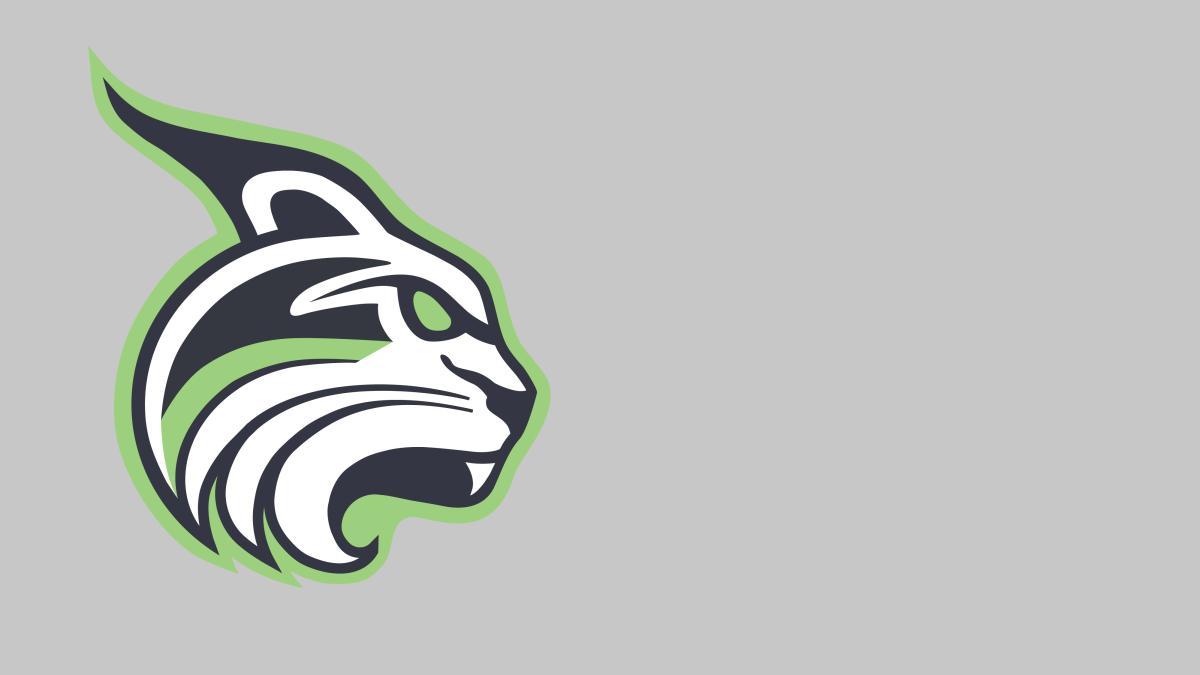 The Lesley Lynx logo on a gray background.