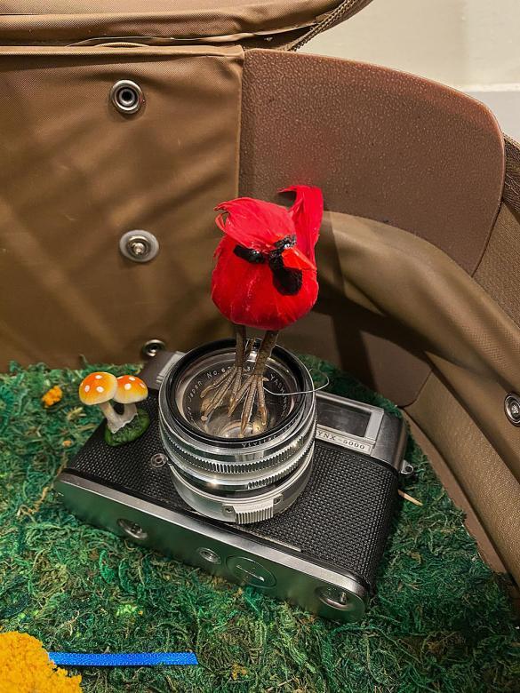 Close-up of camera, a rose, and mini mushroom trinket
