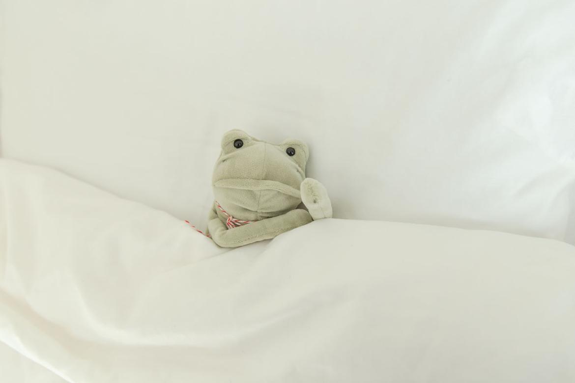 frog stuffed animal tucked in bed 