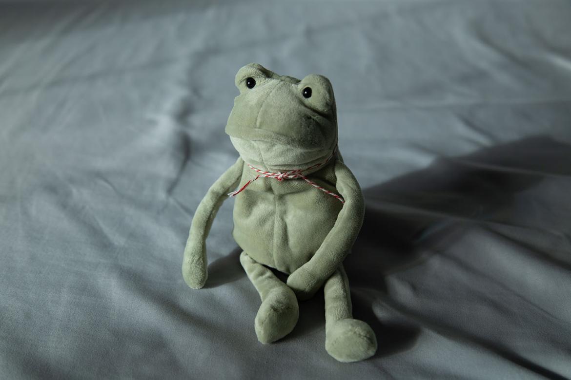 frog stuffed animal sitting in the dark