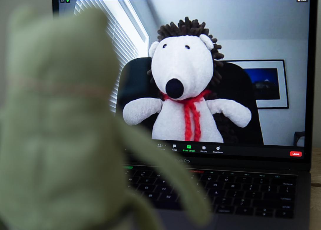 frog stuffed animal meeting with stuffed bear on Zoom