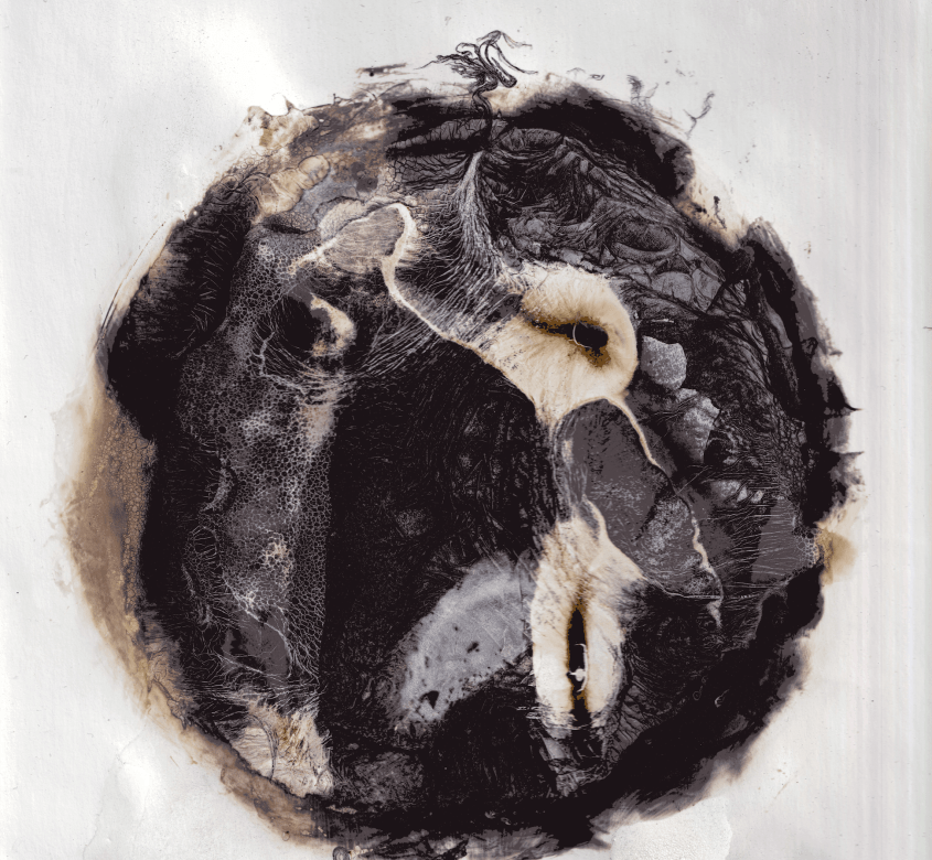 Circular black and brown blob with a painterly texture.