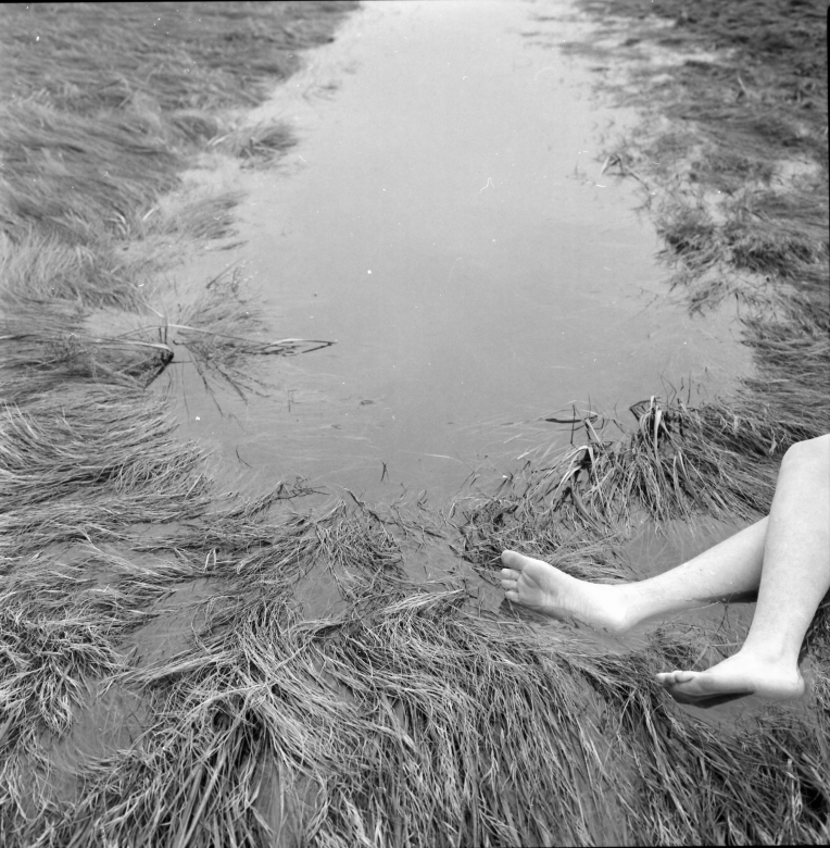 Black and white photograph of legs laying on a soggy grassy field.
