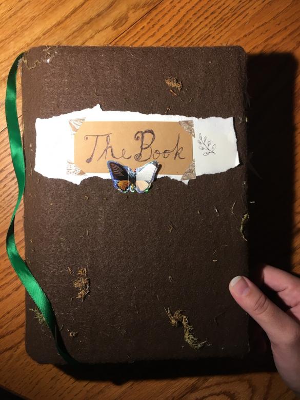 The author's hand is visible holding the book on a wood table to show the front cover of "The Book", covered in brown felt. There is a green ribbon bookmark hanging out to the side.
