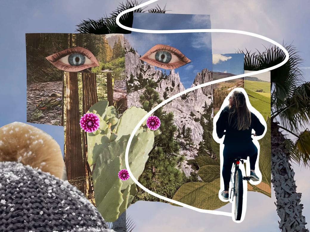 A digital collage of blue sky, nature, cactuses, and plants. In the upper left corner to center are two eyes and on the right is a woman in all black on a bike from behind with a white outline and white line path leading through the collage. 