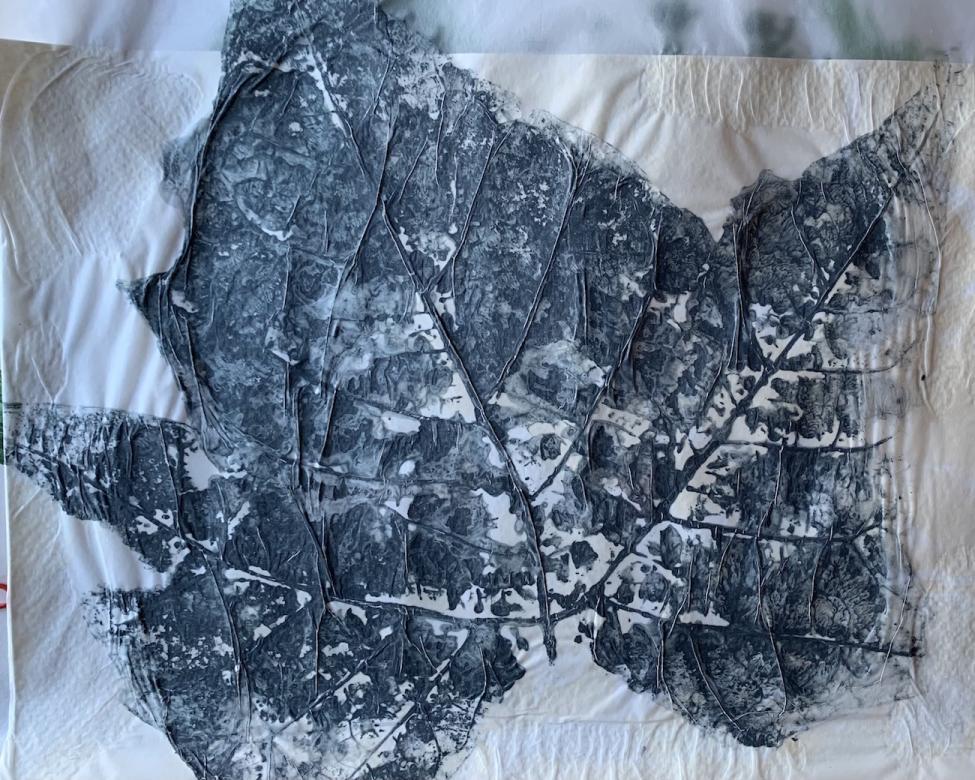 photo of a leaf on paper