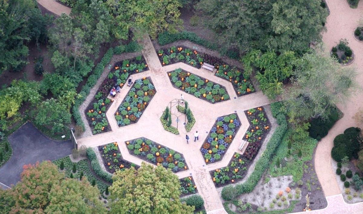 Zen Garden