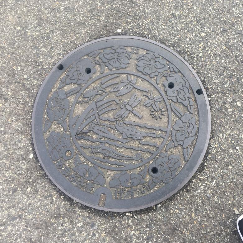 Manhole cover with dragonflies.
