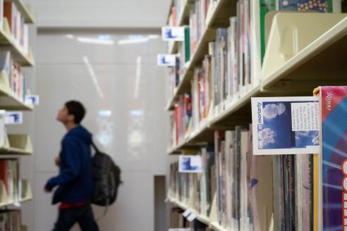 image of bookshelves with flagged books