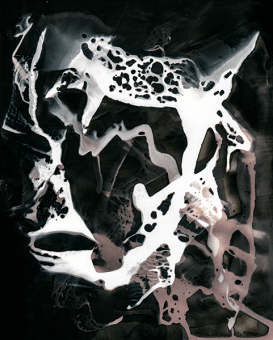A piece of artwork by Fangwei Xu titled "Chemigram" 
