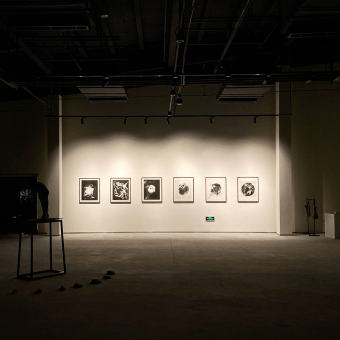 A photo from the exhibit "A Crop of Fruits." It is a dark room with a spotlight illuminating on six pieces of artwork on the wall.
