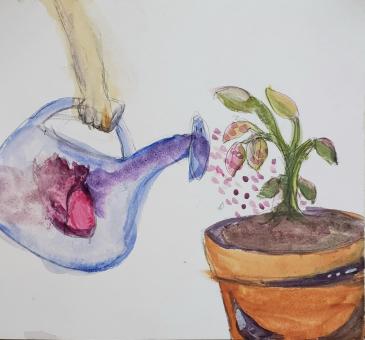 A watercolor painting of a hand holding a purple and magenta watering can watering a green and magenta plant that is planted in brown soil in a terracotta pot on the right side of the painting. The background is white. 