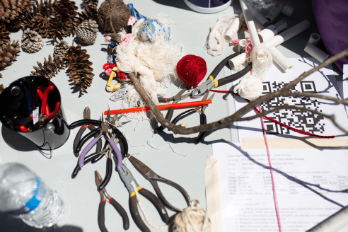 A table of various materials including pinecones, pliers, sticks, and string.