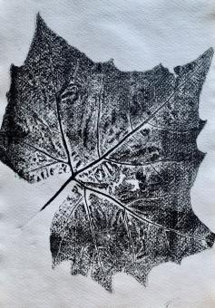 photo of ink in the shape of a leaf on paper