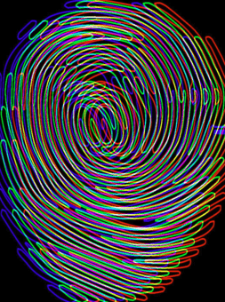 An outline of a fingerprint on a black background. There is white, blue, and red outlines of it that overlap each other. This gives this piece a 3D effect. 