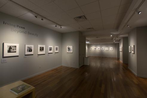 VanDernoot Gallery: Irving Penn Exhibition 