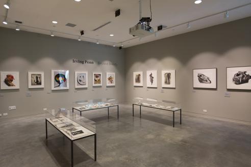Raizes Gallery: Irving Penn Exhibition