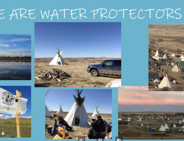 collage of images under heading We Are Water Protectors