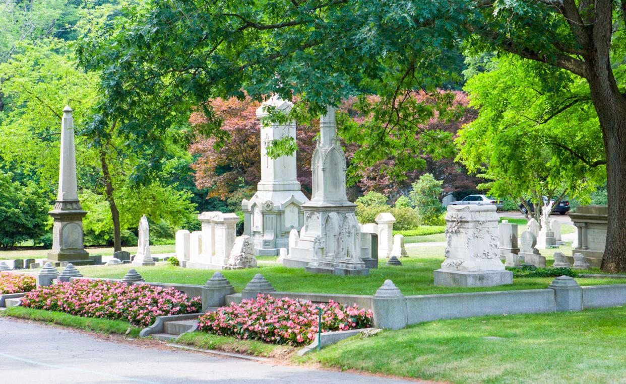 cemetery tombs and plants