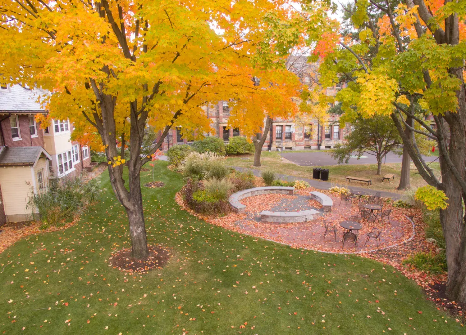 Fall trees on South Campus over bricked walkway and lawn.