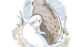 illustration of two snuggling seals.