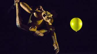 A chimpanzee puppet looks at a yellow balloon