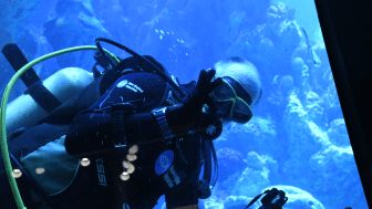 Threshold director Ernst VanBergeijk gives an underwater thumbs-up in the ocean tank at the New England Aquarium.
