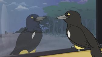 A still from alumna Hanah Cincotta's film "O'o: The Last Voice of Kaua'I O'o"