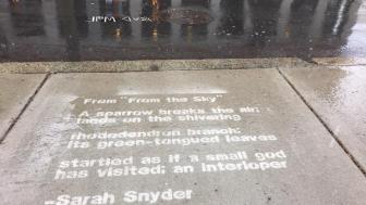 Poetry written on the wet sidewalk.