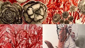 Artwork of red flowers and a butterfly