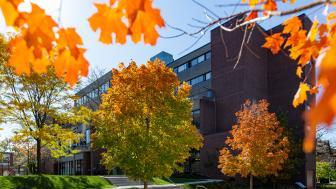 doble campus during the fall