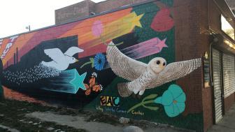 Mural of owls in Lawrence, Mass.