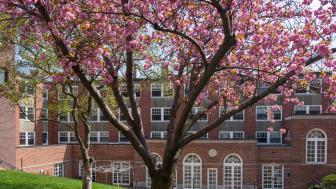 Bright pink flowers bloom in front of the dining hall on Lesley's Doble campus.
