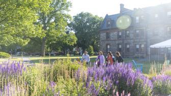 Alumni cross South Campus during 2022 Alumni Reunion