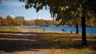 A view of the Harvard bridge from the shore.